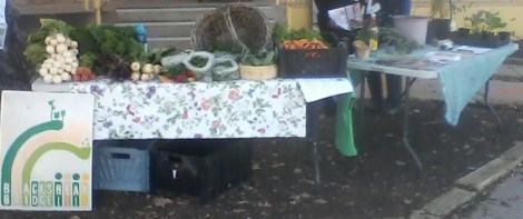 2015-12-04 Farm Stand Set Up Crop