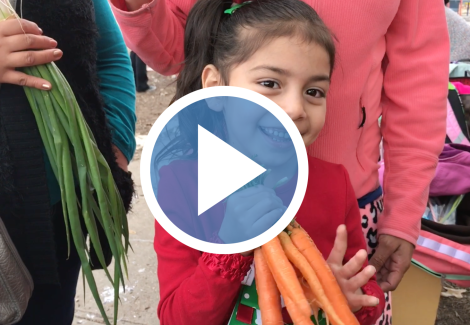 playvideofeaturedimage