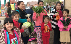 33FarmSTandLaComunidad